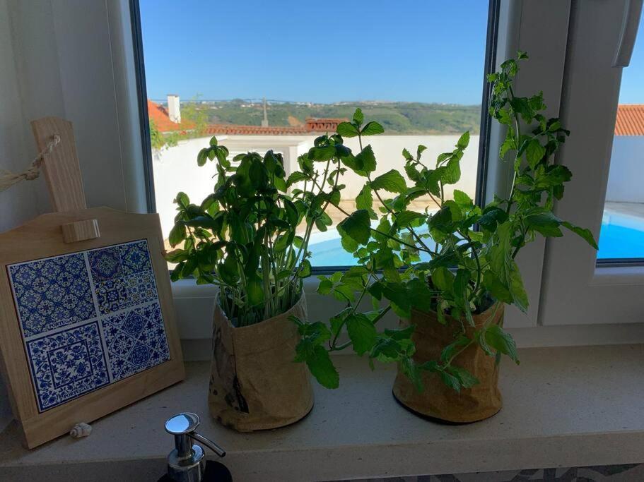 Joia Da Casa Βίλα Sobral  Εξωτερικό φωτογραφία